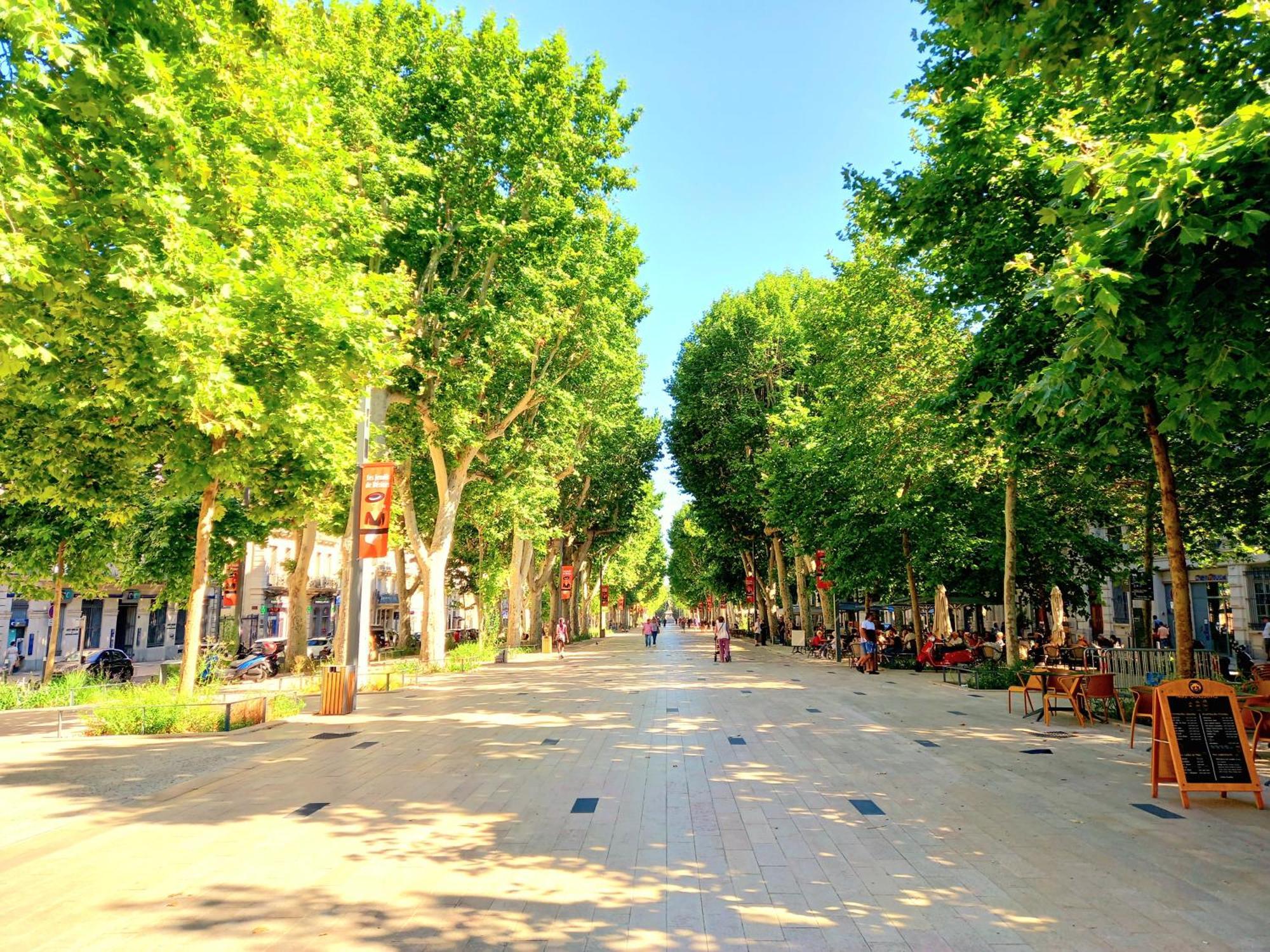 T3 Aqui Es Besiers - Centre-Historique - Cathedrale & Halles - Clim - Wifi - Free Parking Sur Demande 贝济耶 外观 照片